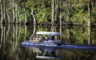 bayou boat tour