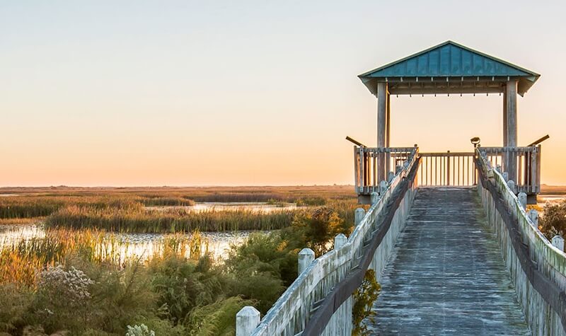 Lacassine National Wildlife Refuge