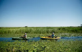 Canoeing in Lacassine