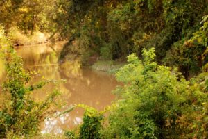 welsh_park_2